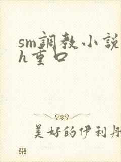 sm调教小说高h重口
