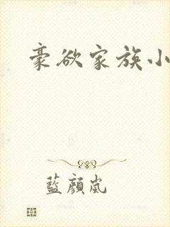 豪欲家族小说