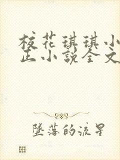 校花琪琪小刚小正小说全文免费封面