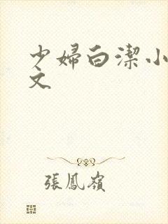 少妇白洁小说全文