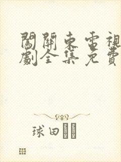 闯关东电视连续剧全集免费观看封面