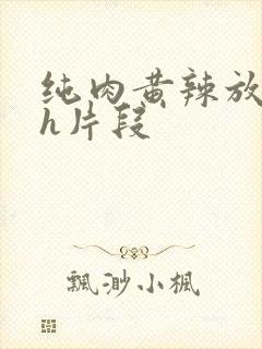 纯肉黄辣放荡高h片段封面