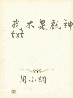 我不是戏神最新txt封面