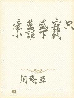 亿万盛宠只为你小说下载封面