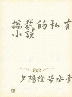 总裁的私有宝贝小说