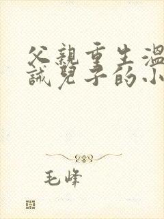 父亲重生温柔训诫儿子的小说