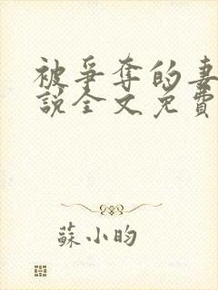 被争夺的妻子小说全文免费阅读