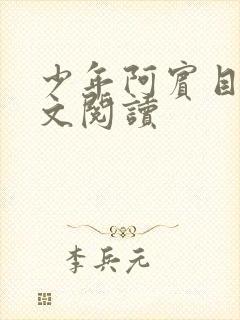 少年阿宾目录全文阅读