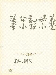 荡公乱妇第51章小说小莹封面