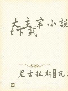 大主宰小说txt下载封面