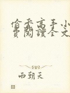 偷香高手小说免费阅读全文封面