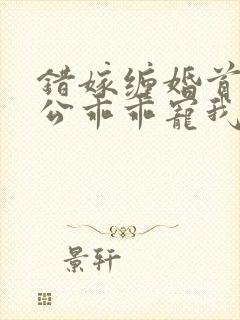 错嫁缠婚首富老公乖乖宠我小说免费阅读