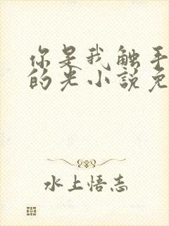 你是我触手可及的光小说免费阅读笔趣阁