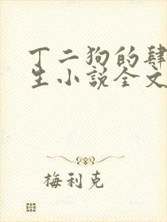 丁二狗的肆意人生小说全文阅读完整版