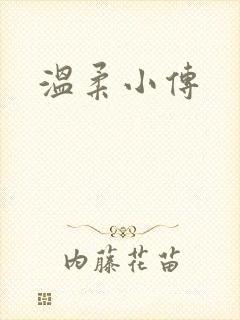 温柔小传