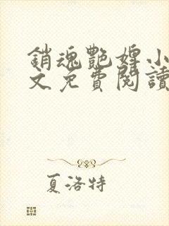销魂艳婢小说全文免费阅读