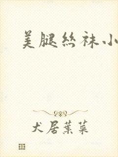 美腿丝袜小说
