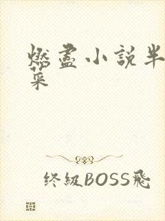燃尽小说半截白菜