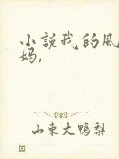 小说我的风流妈妈,封面