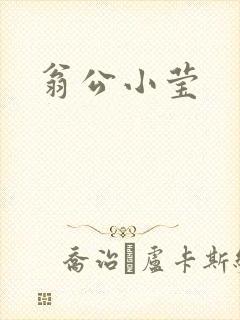 翁公小莹