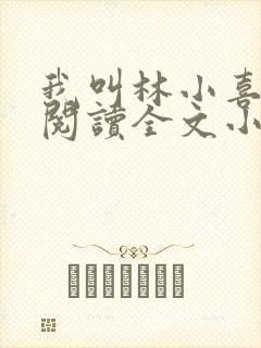 我叫林小喜免费阅读全文小说封面
