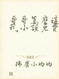 哥哥怎么这样看我小说免费阅读无弹窗封面