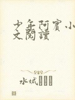 少年阿宾小说全文阅读