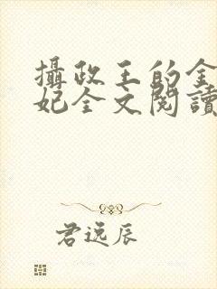 摄政王的金牌宠妃全文阅读封面