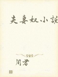 夫妻奴小说