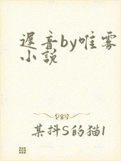 迟音by唯雾的小说