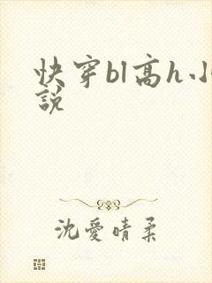快穿bl高h小说
