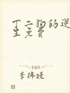 丁二狗的逆袭人生免费封面