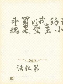 斗罗v:我的武魂是圣主小说完整