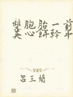 双胞胎一前一后夹心饼干年下