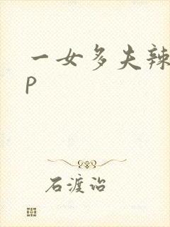 一女多夫辣文np封面