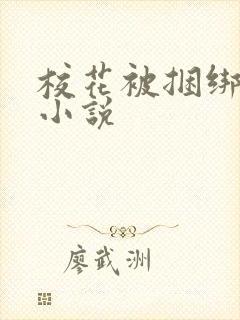 校花被捆绑调教小说