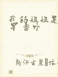 我的姐姐是大明星 番外