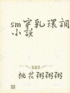sm穿乳环调教小说封面