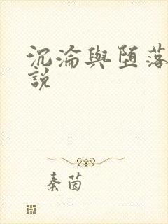 沉沦与堕落的小说封面