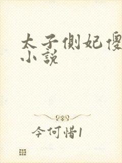 太子侧妃傻乎乎小说