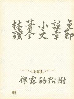 林萧小说免费阅读全文章节