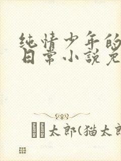 纯情少年的堕落日常小说免费阅读笔趣阁