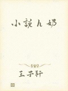 小说 h 奶