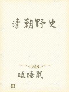清朝野史