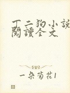 丁二狗小说免费阅读全文
