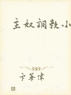主奴调教小说封面