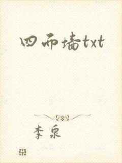 四面墙txt封面