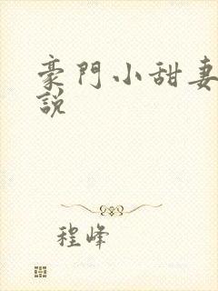 豪门小甜妻 小说