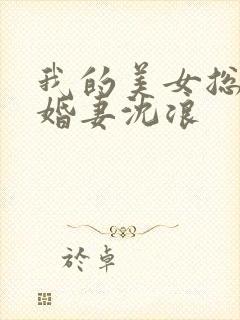 我的美女总裁未婚妻沈浪封面