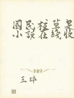 国民校草是女生小说在线收听